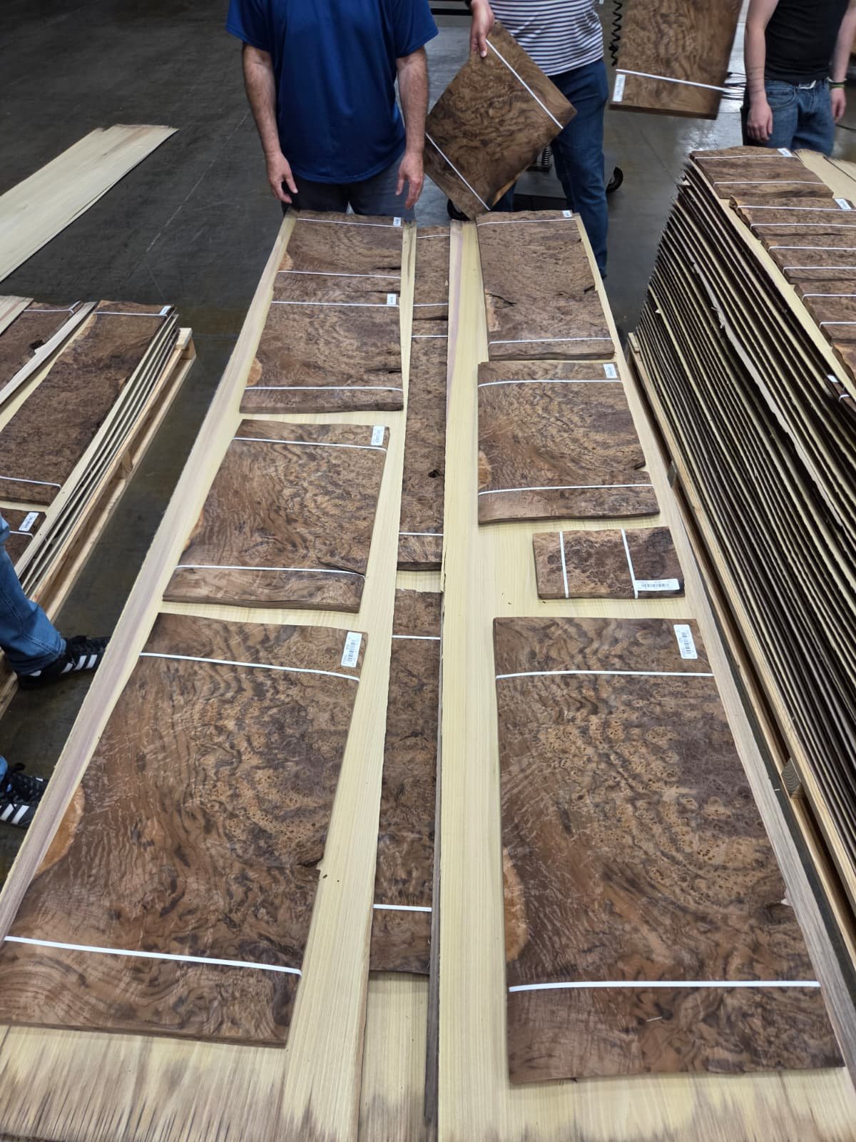 Highly figured walnut burl veneer