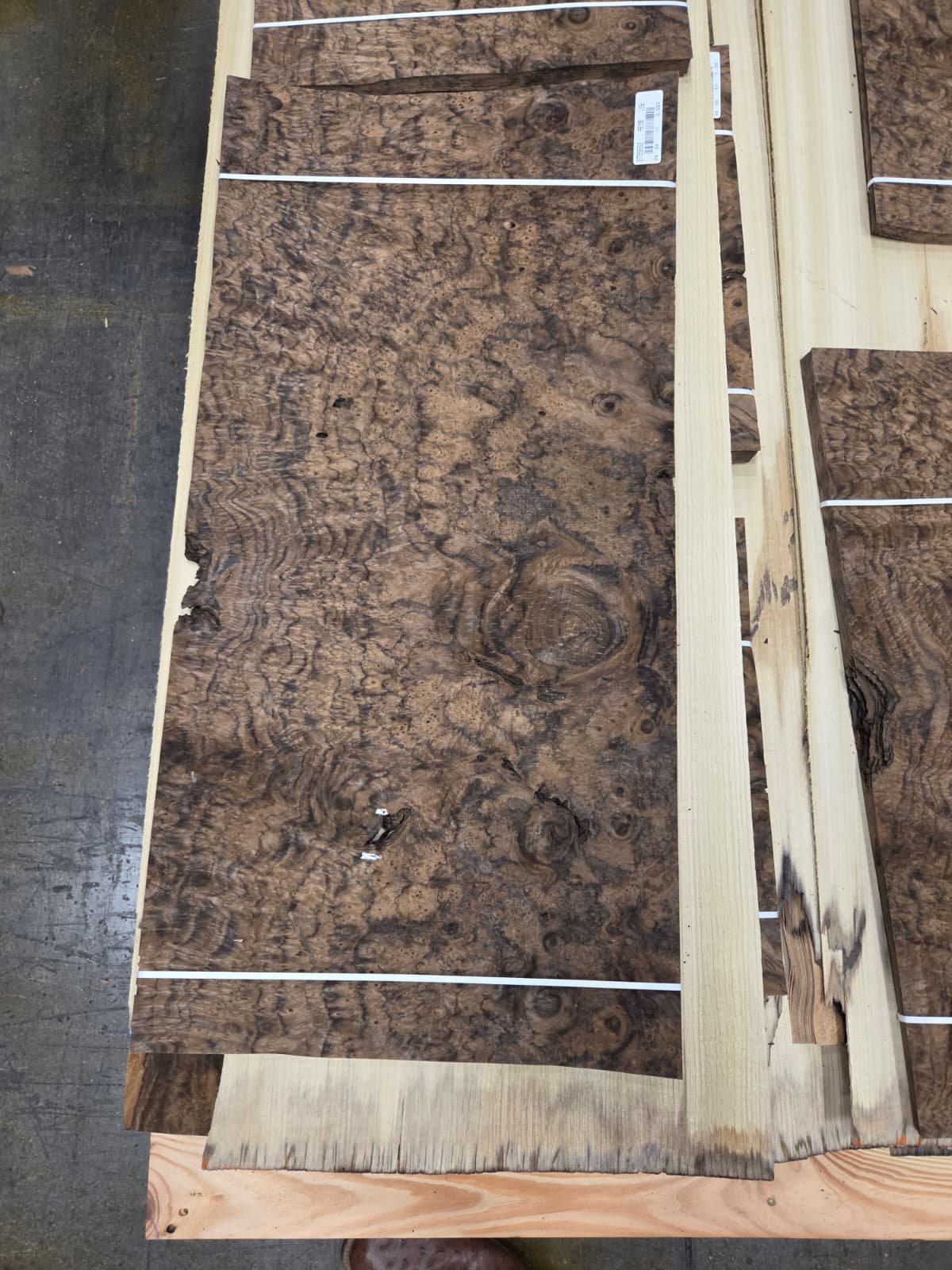Dark walnut burl veneer flitch