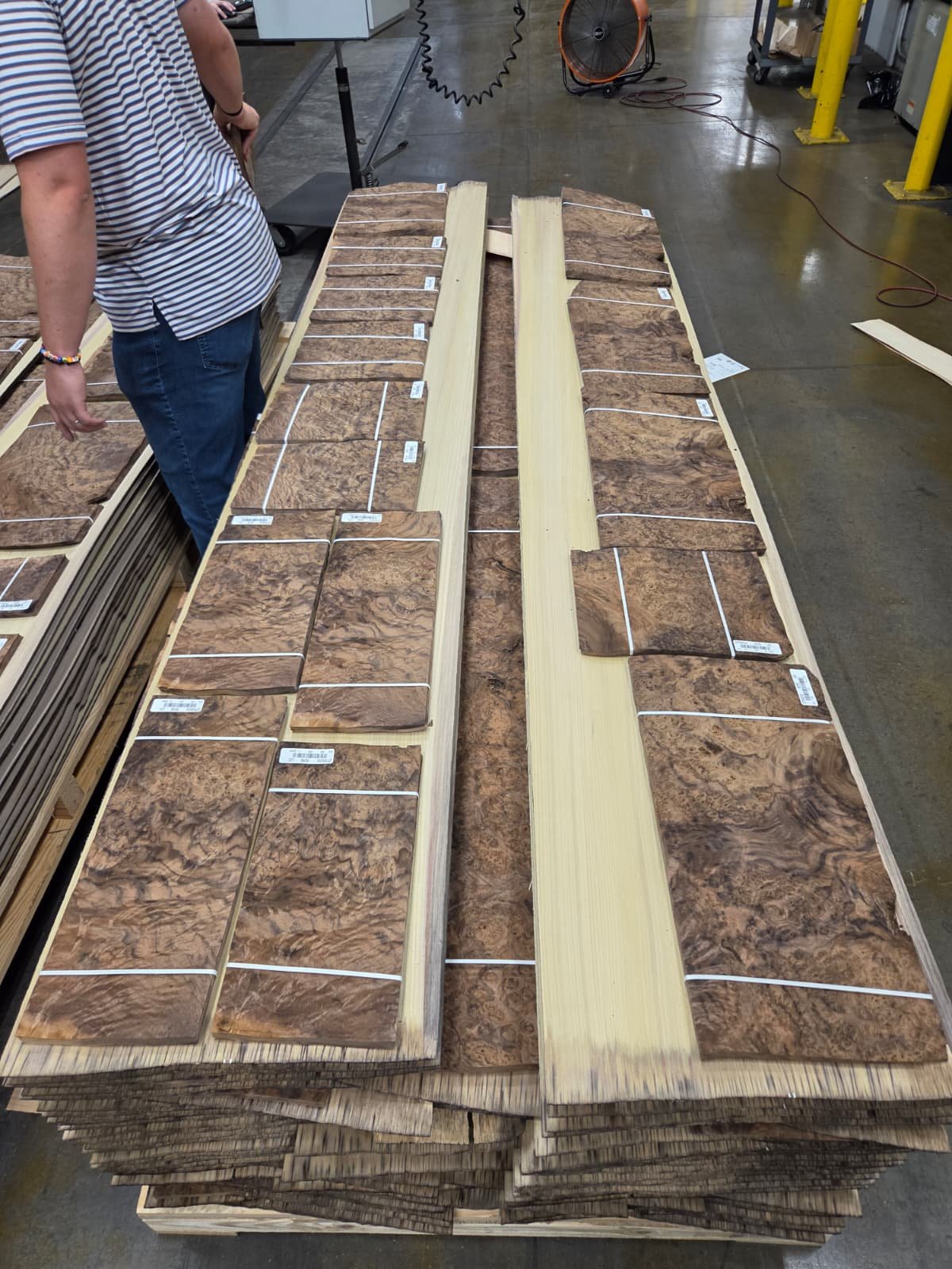 Walnut burl veneer bundles in stock